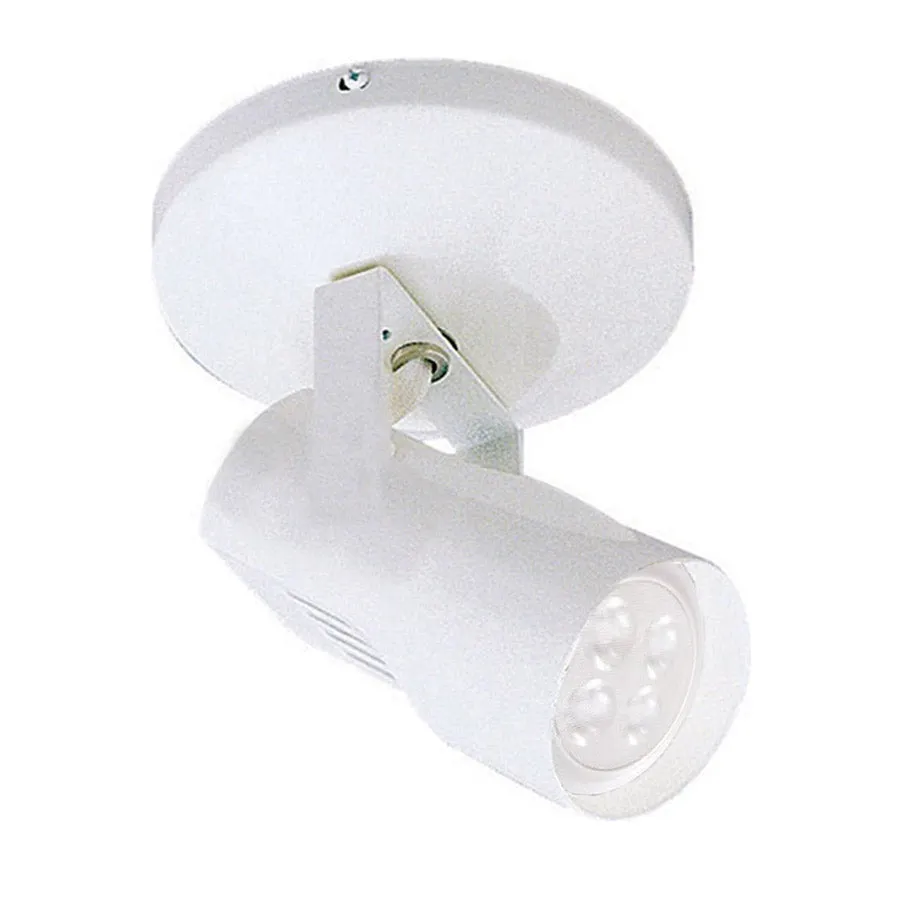 007 LED Spot Light