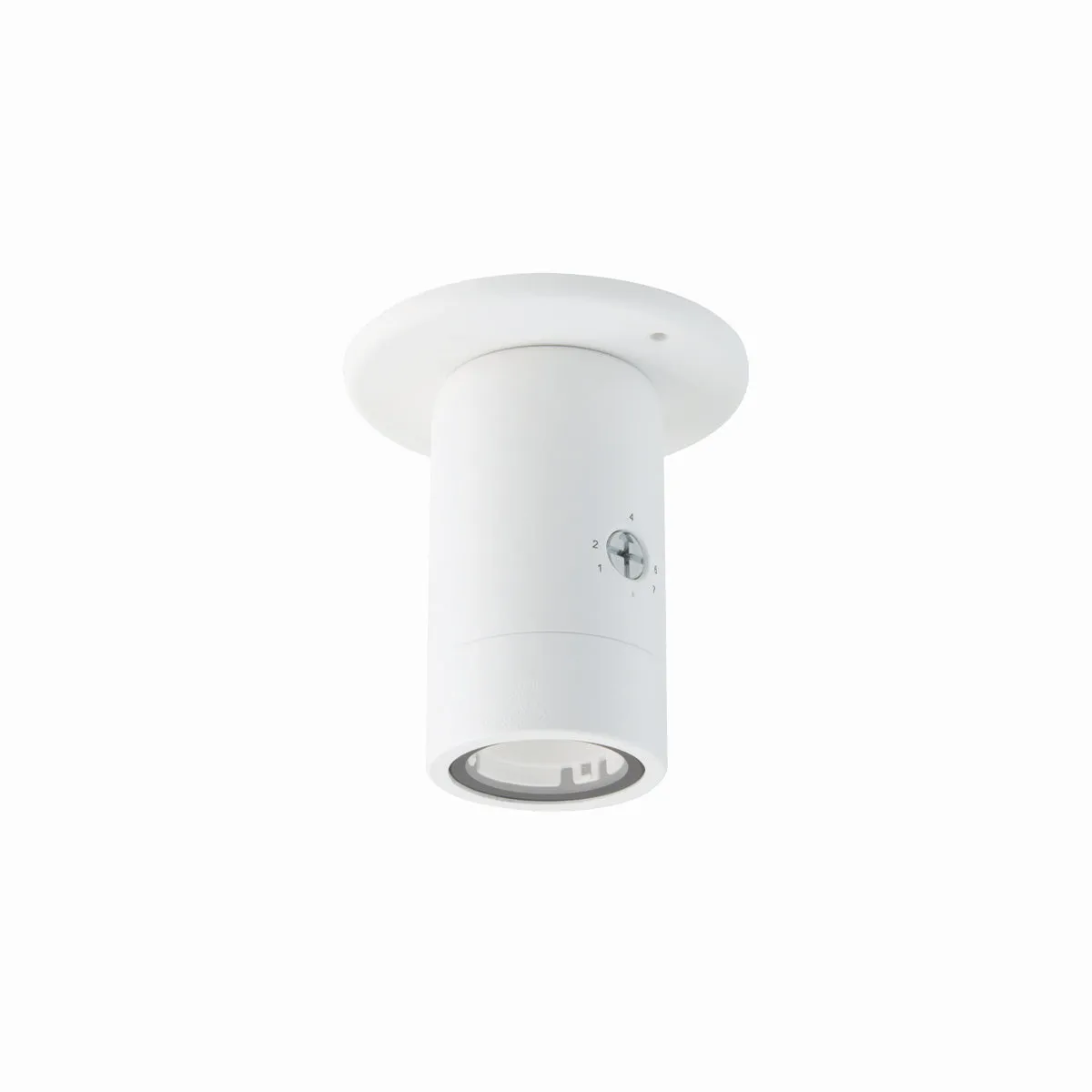 3831 LED Landscape Pendant