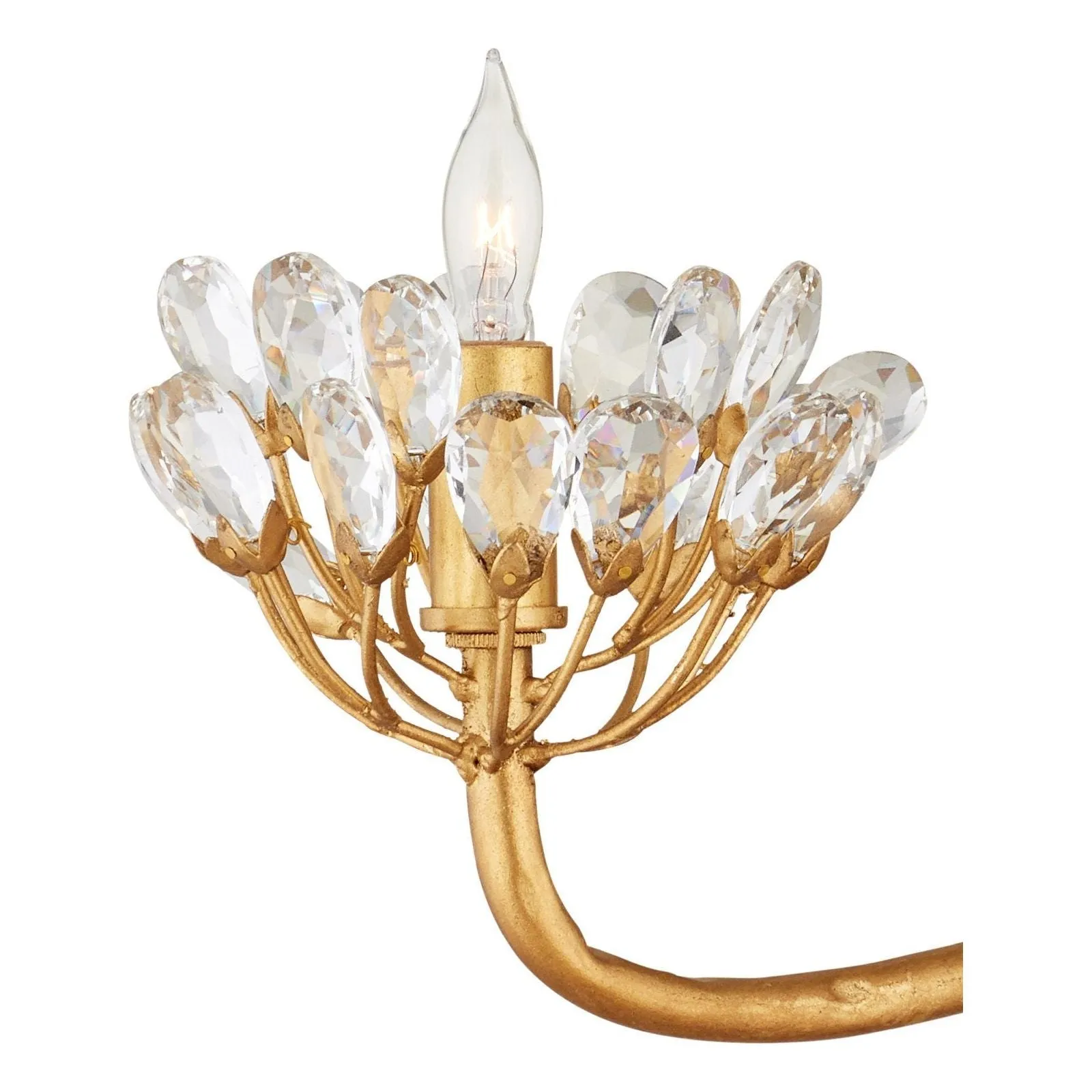 Agave Americana Gold Chandelier