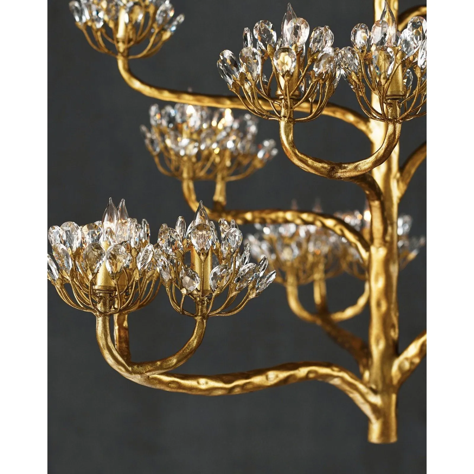 Agave Americana Gold Chandelier