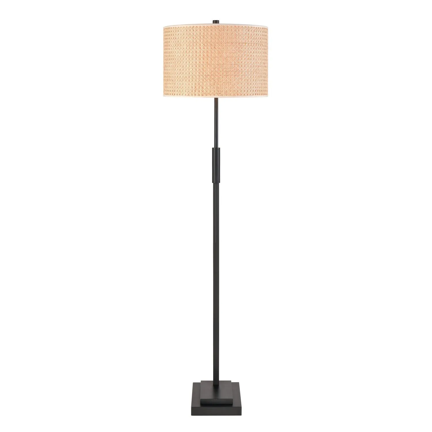 Baitz LED Floor Lamp