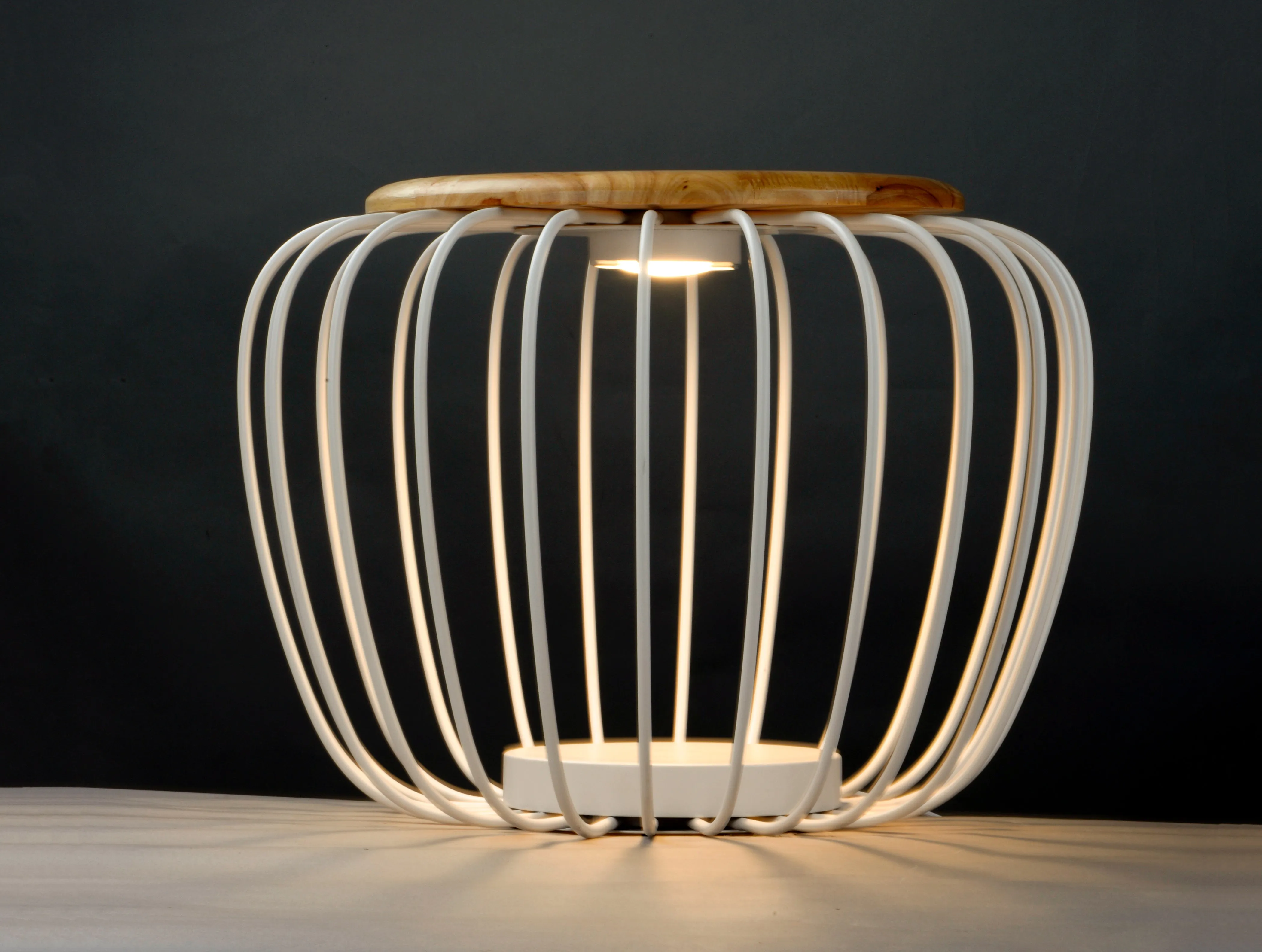 Cage Floor Lamp