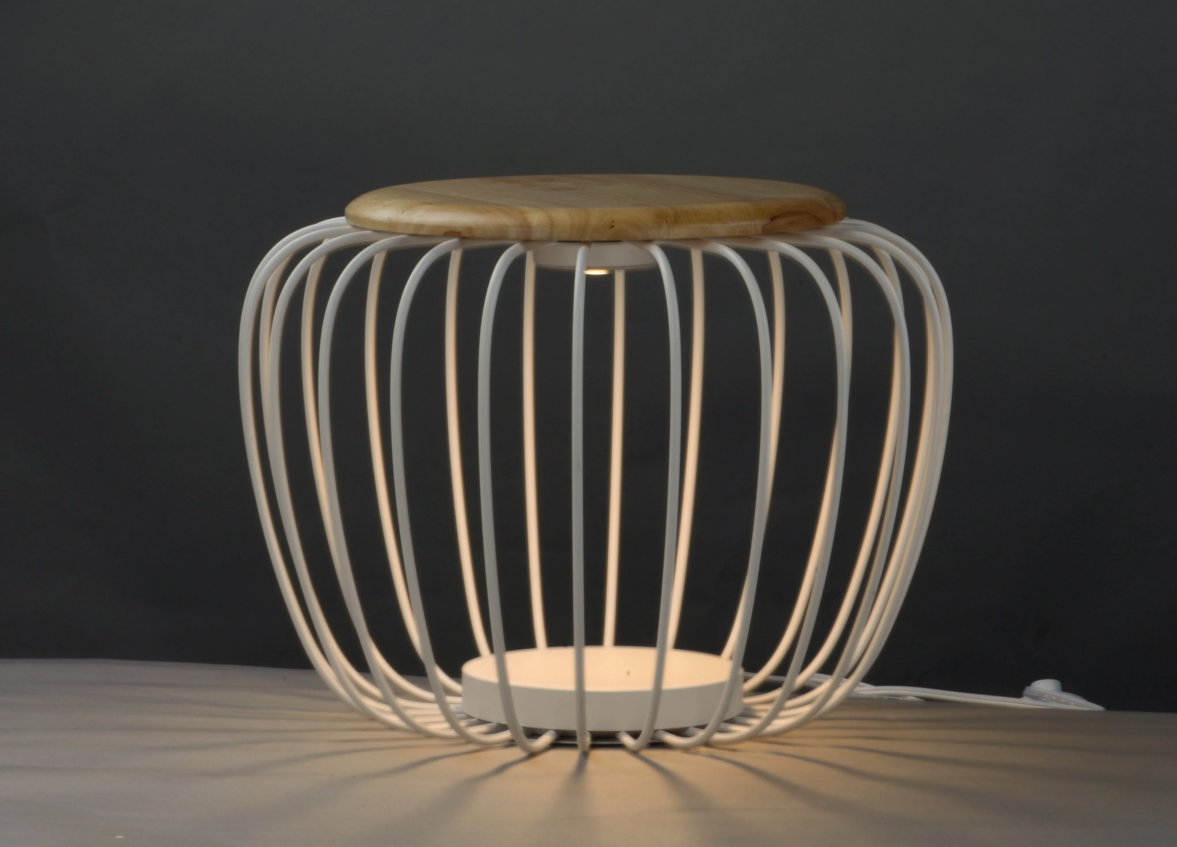 Cage Floor Lamp