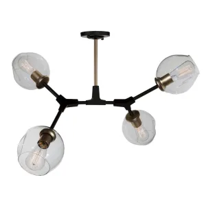 Danyon Ceiling Mount