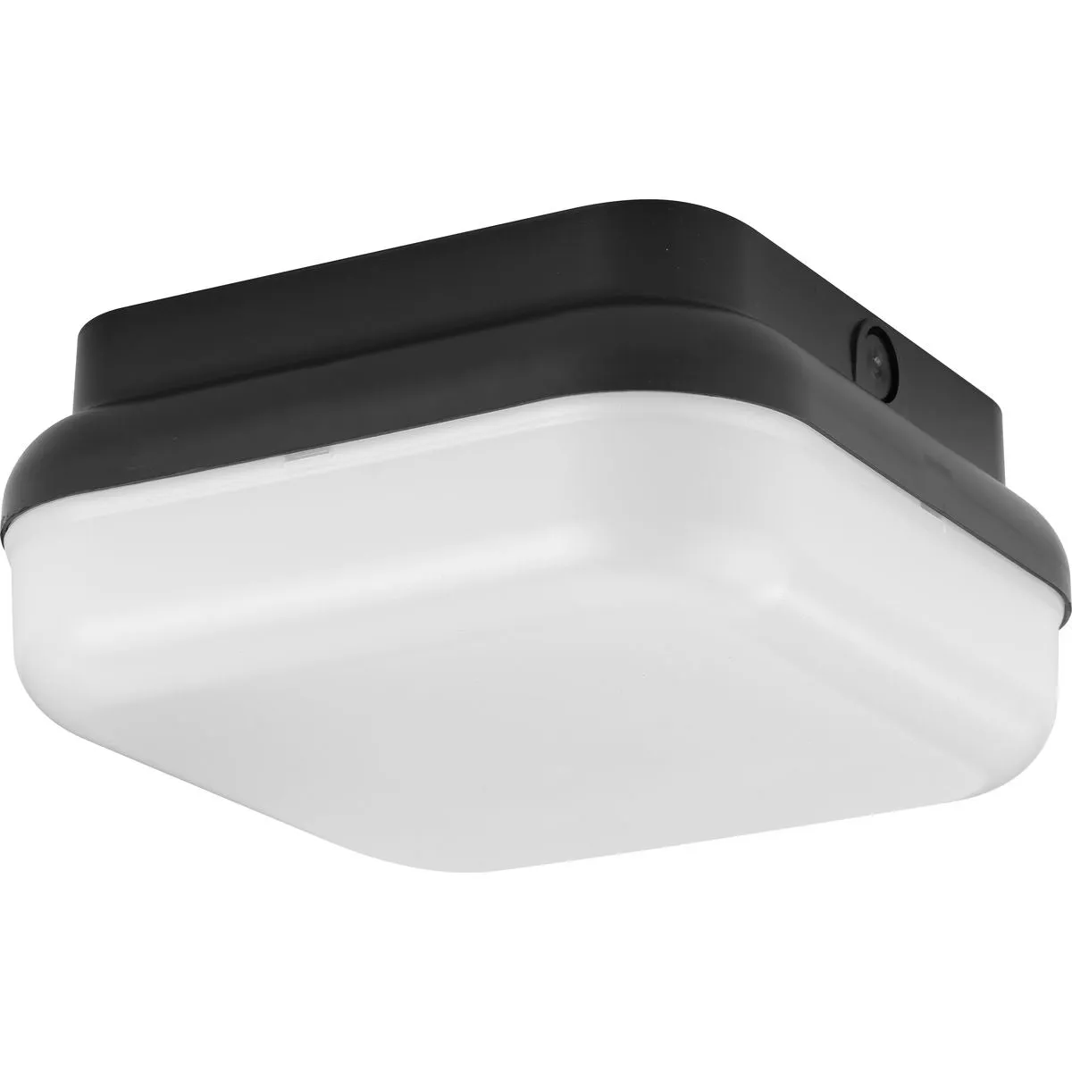 Hard Nox Collection 10" Square Flush Mount Light