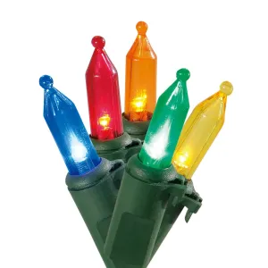 Holiday Time L9500001MU09 Multi-Color LED Mini Lights Holiday Lighting, 116 ft
