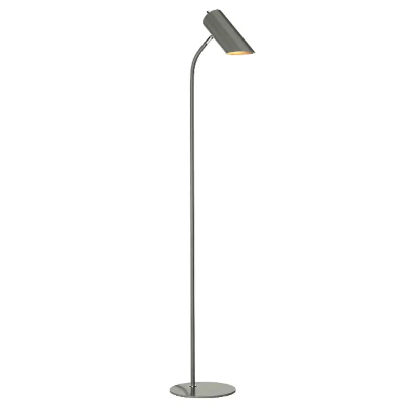 Metal Plated Functional Floor Lamp
