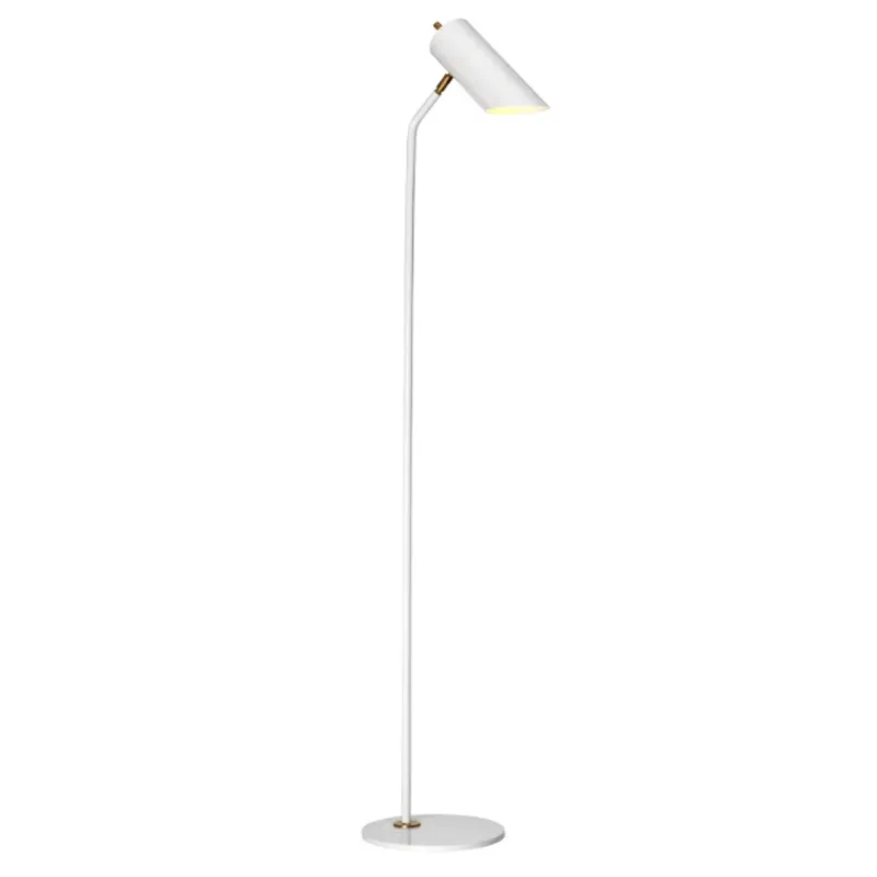 Metal Plated Functional Floor Lamp
