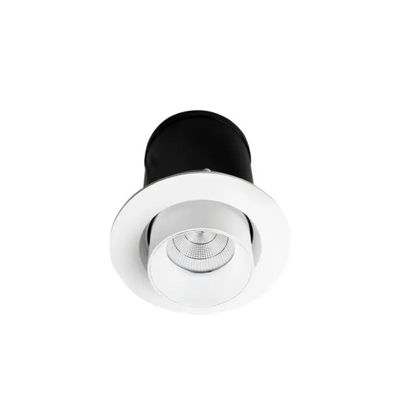 Recessed Adjustable Pull-Out Downlight