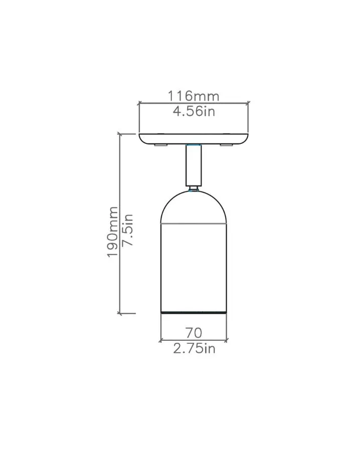Solid Brass Spot Ceiling Light