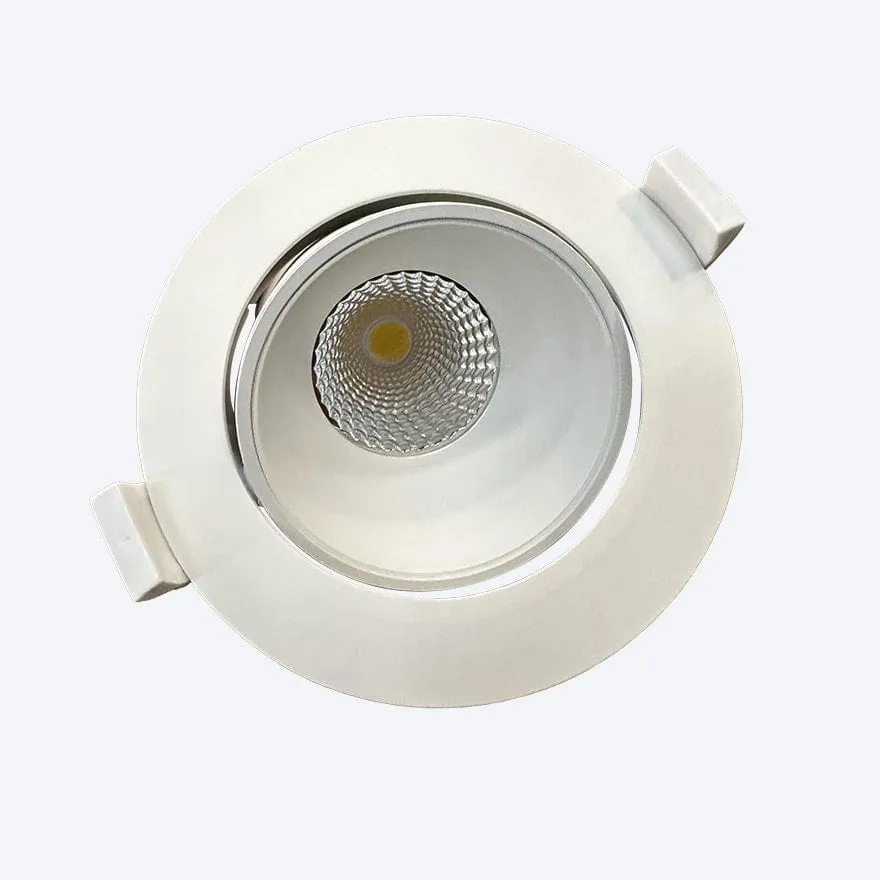 ZANE CCT ADJUSTABLE LED DOWNLIGHT IC4